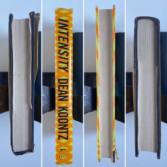 2/$25 -  Intensity by Dean Koontz - Picture 5 of 16